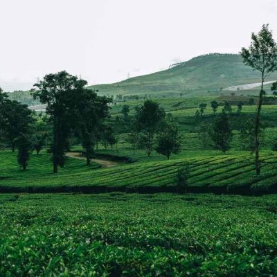assam meghalaya images (1)